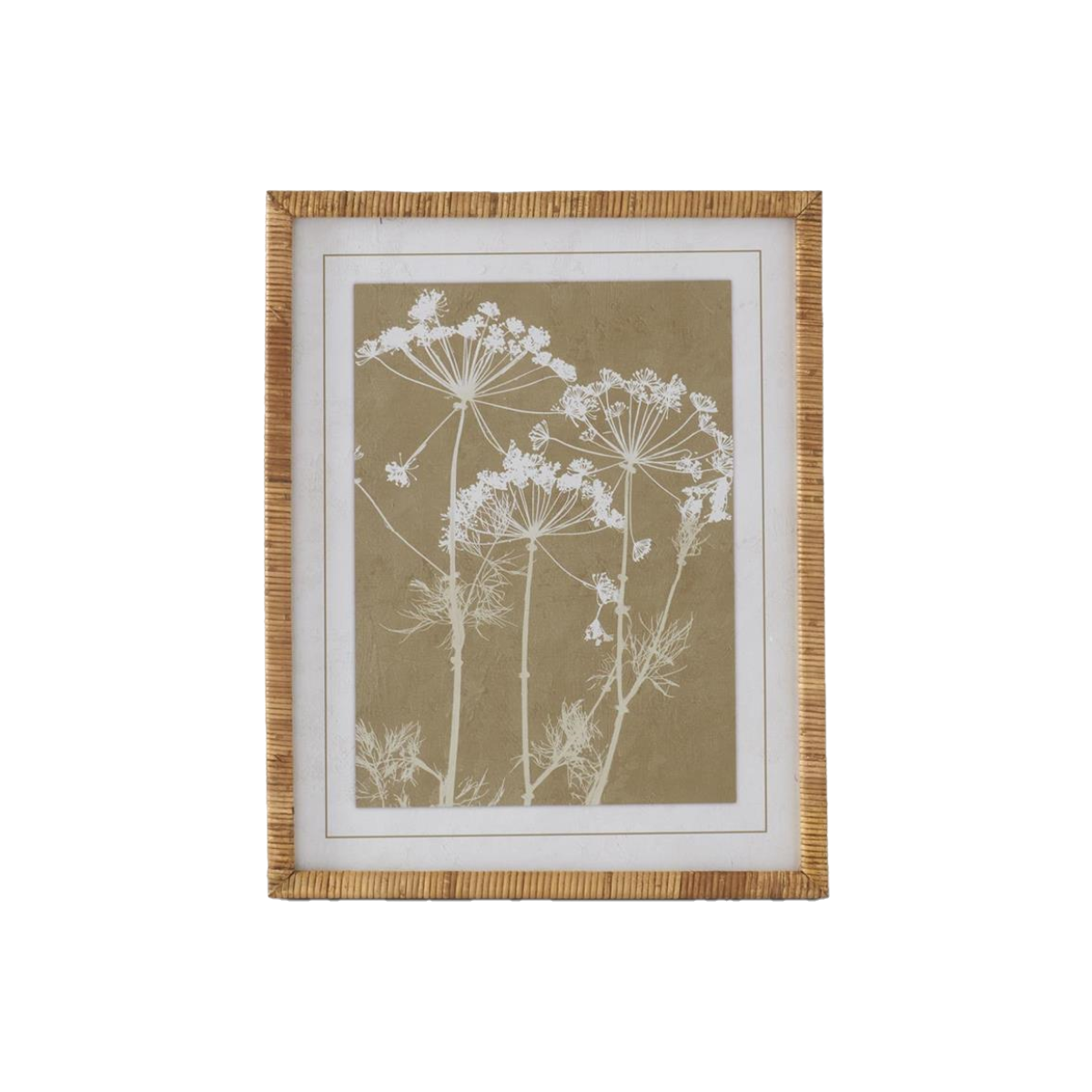 Queen Anne Lace Prints w/Rattan Wrapped Frames