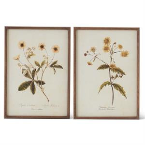 Yellow Floral Print w/Brown Wood Frame