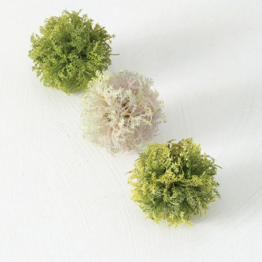 Mini Moss Balls set of 3-Sullivan's-Lasting Impressions