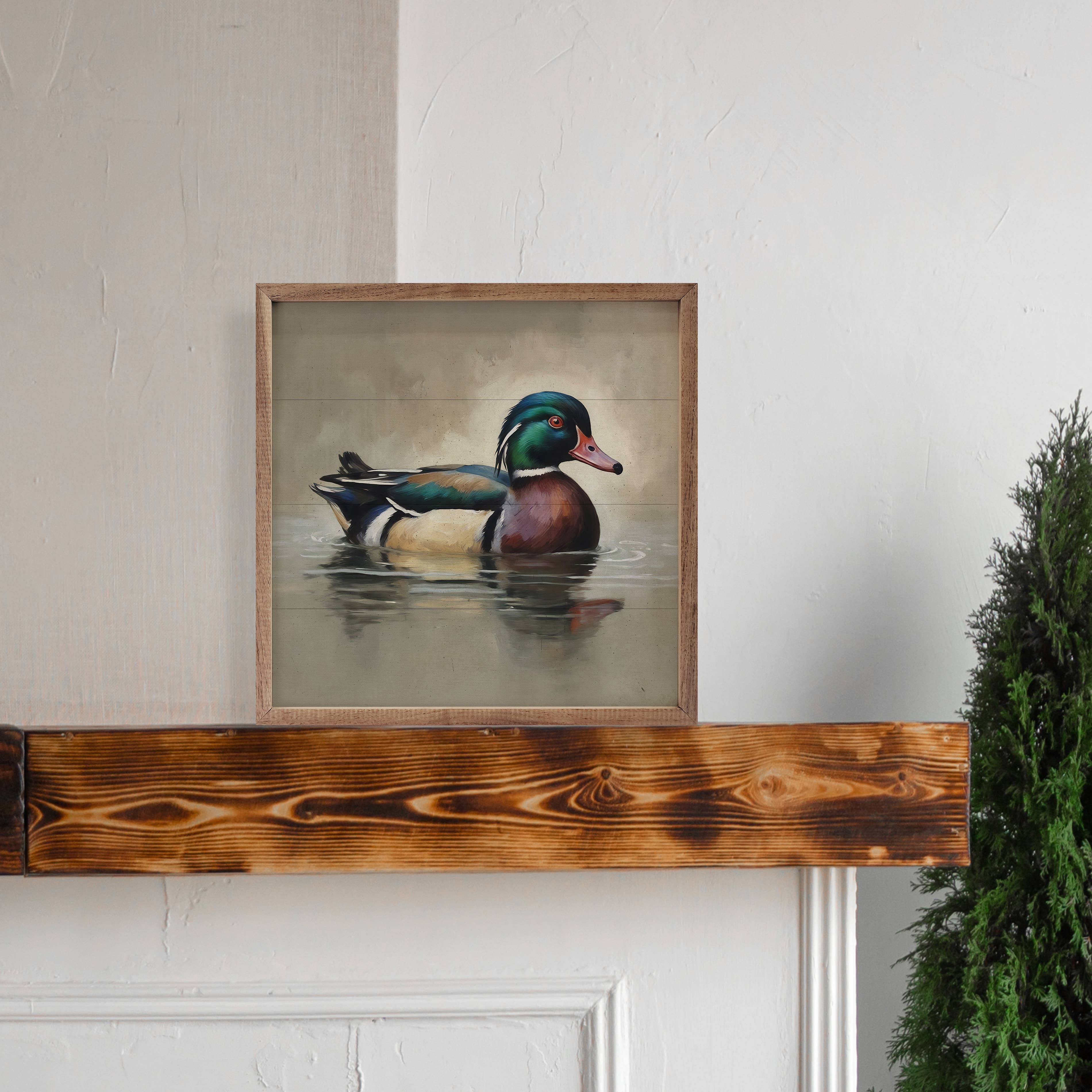 Wood Duck Portrait