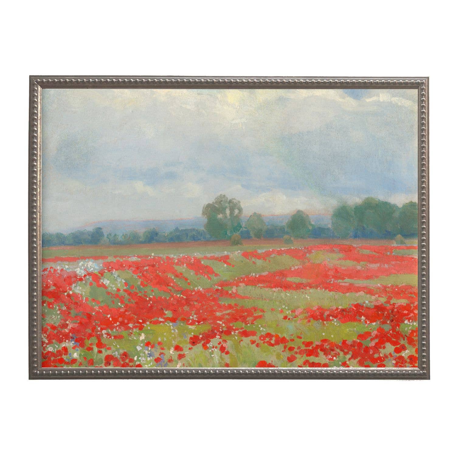 Antique Curiosities Inc Poppies in Bloom Framed Print