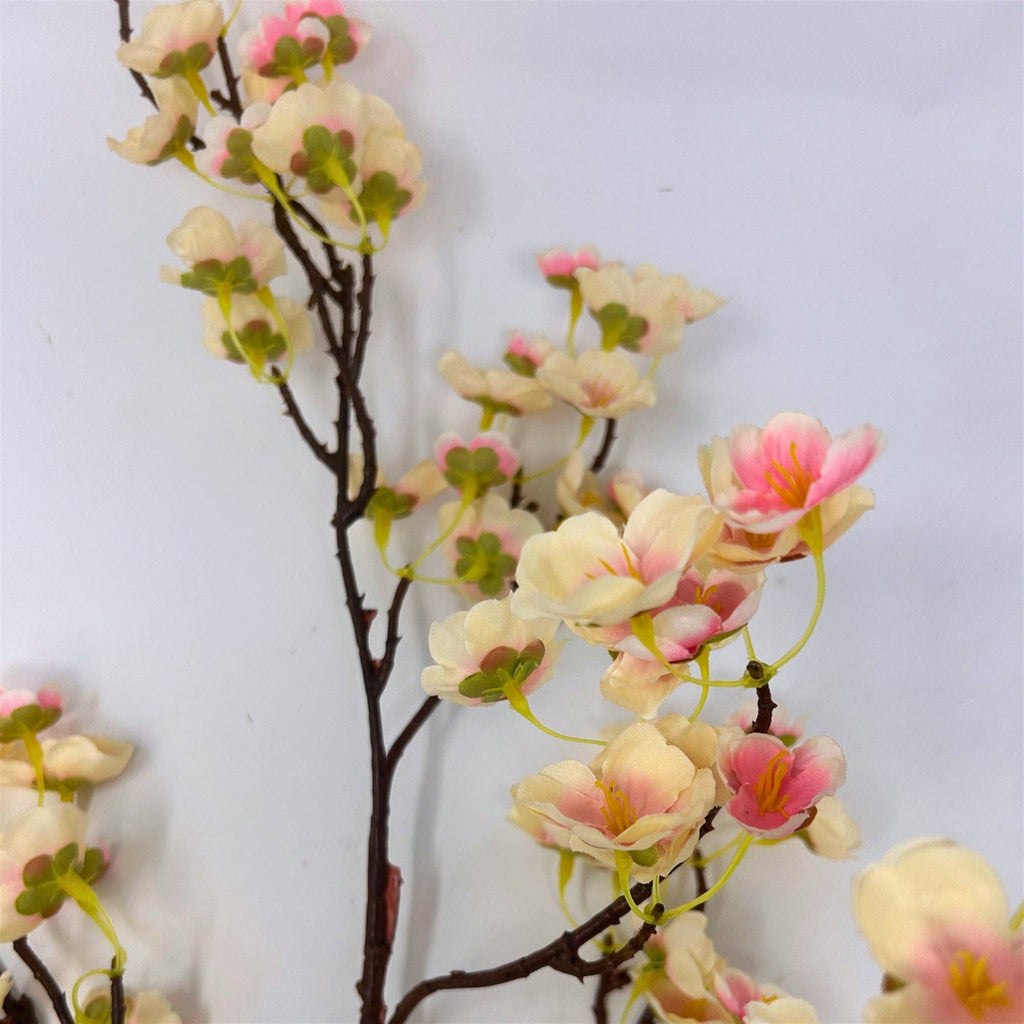 Apple Blossom Branch