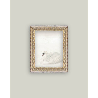 Swan Framed Antique Art