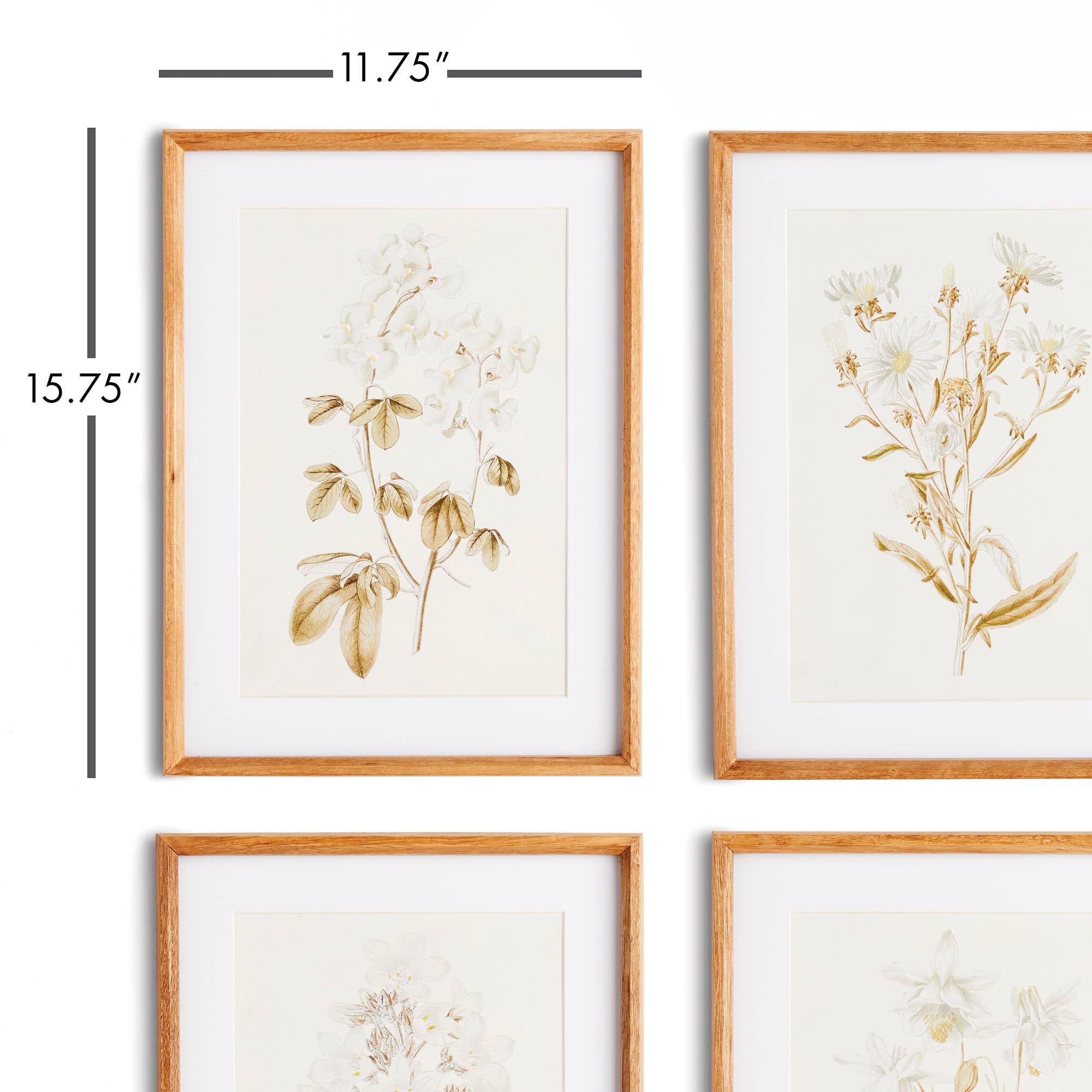 Fleur De Blanc Prints