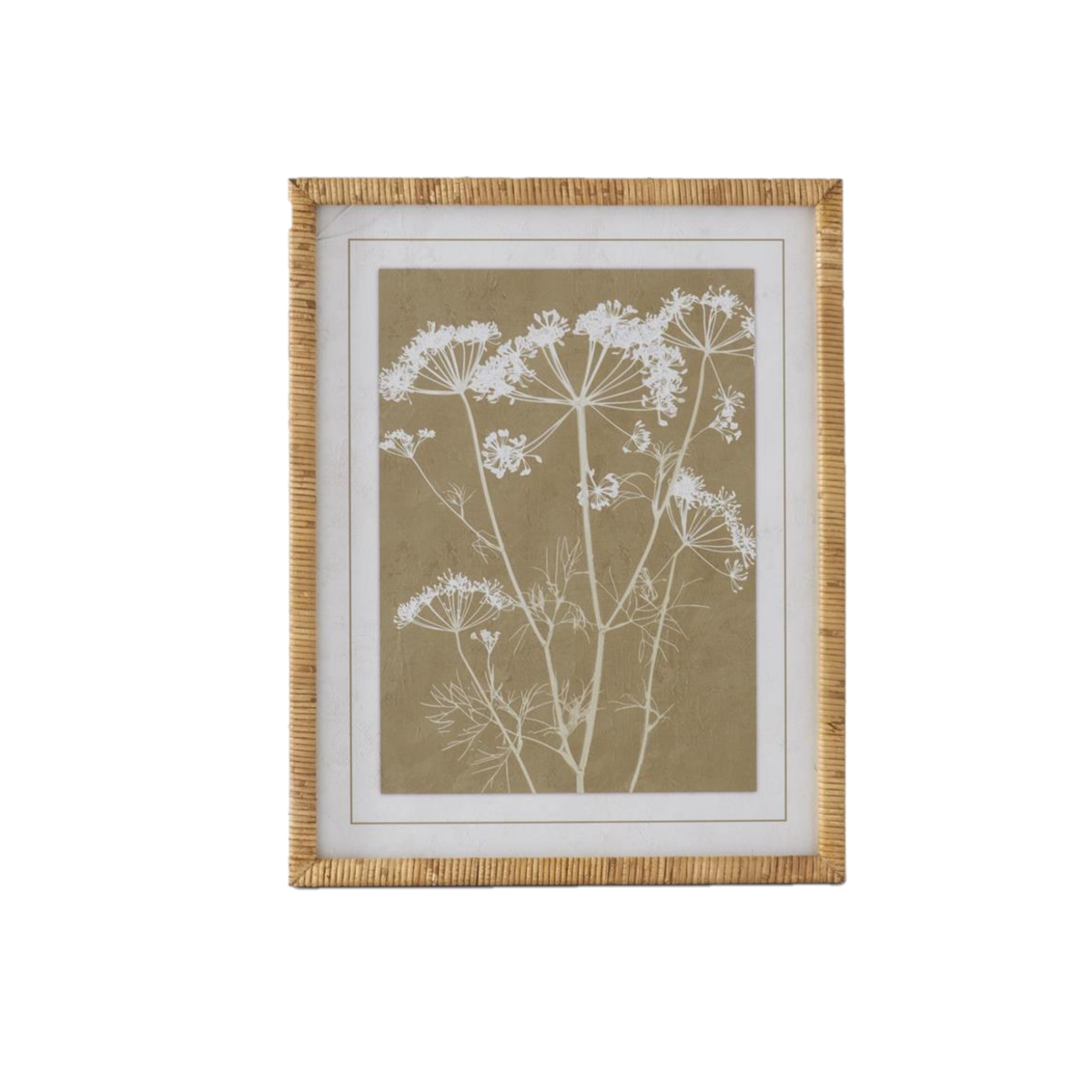 Queen Anne Lace Prints w/Rattan Wrapped Frames