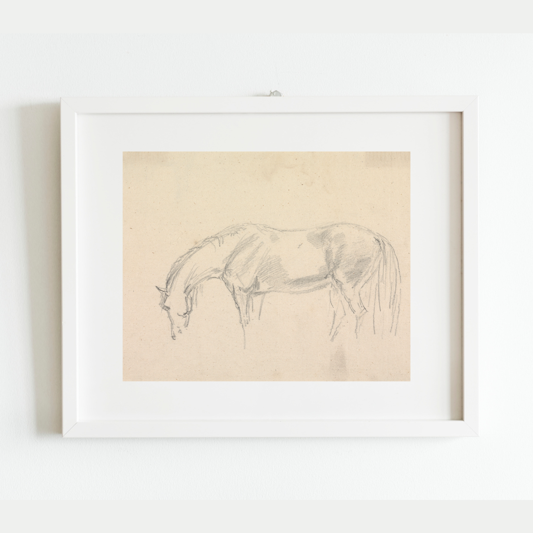 A Horse Grazing Sketch Antique Art Print