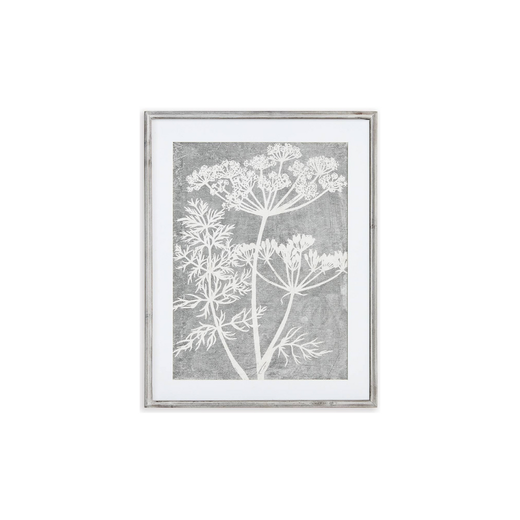 Blooming Queen Anne's Lace Prints