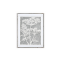 Blooming Queen Anne's Lace Prints