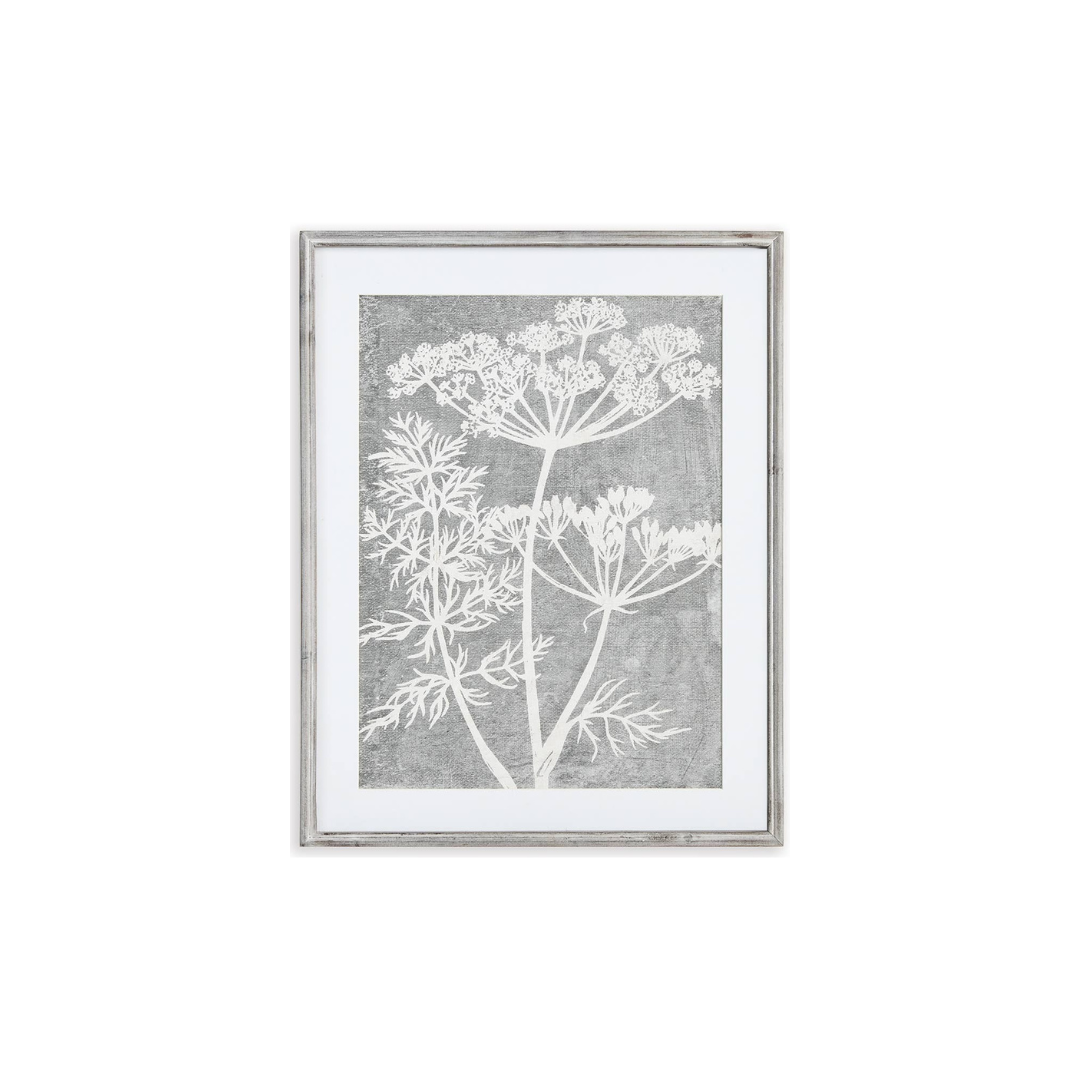 Blooming Queen Anne's Lace Prints