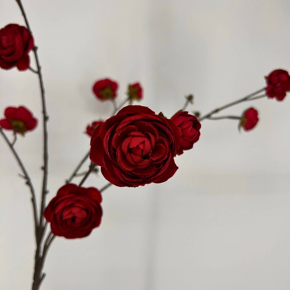 Blooming Ranunculus Branch 44" - Red