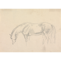 A Horse Grazing Sketch Antique Art Print