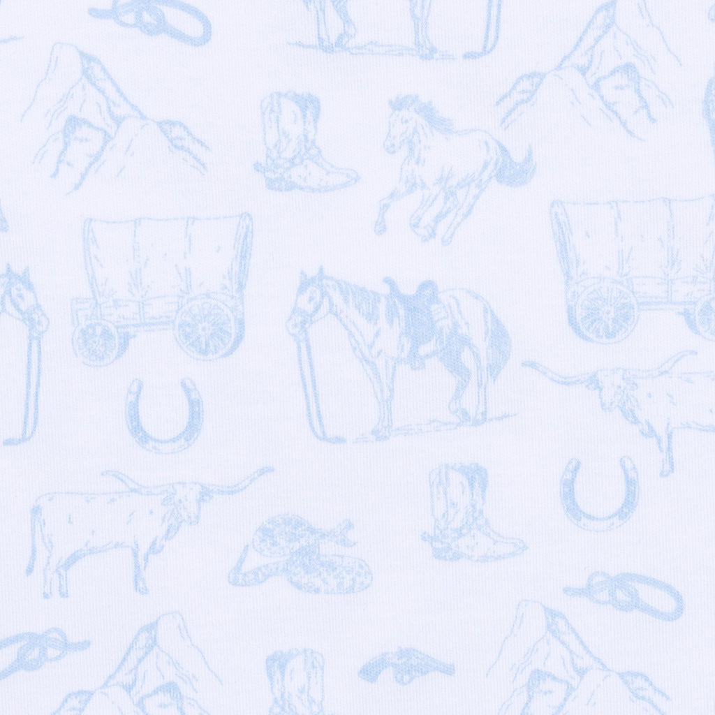 Wild West Toile Light Blue Converter