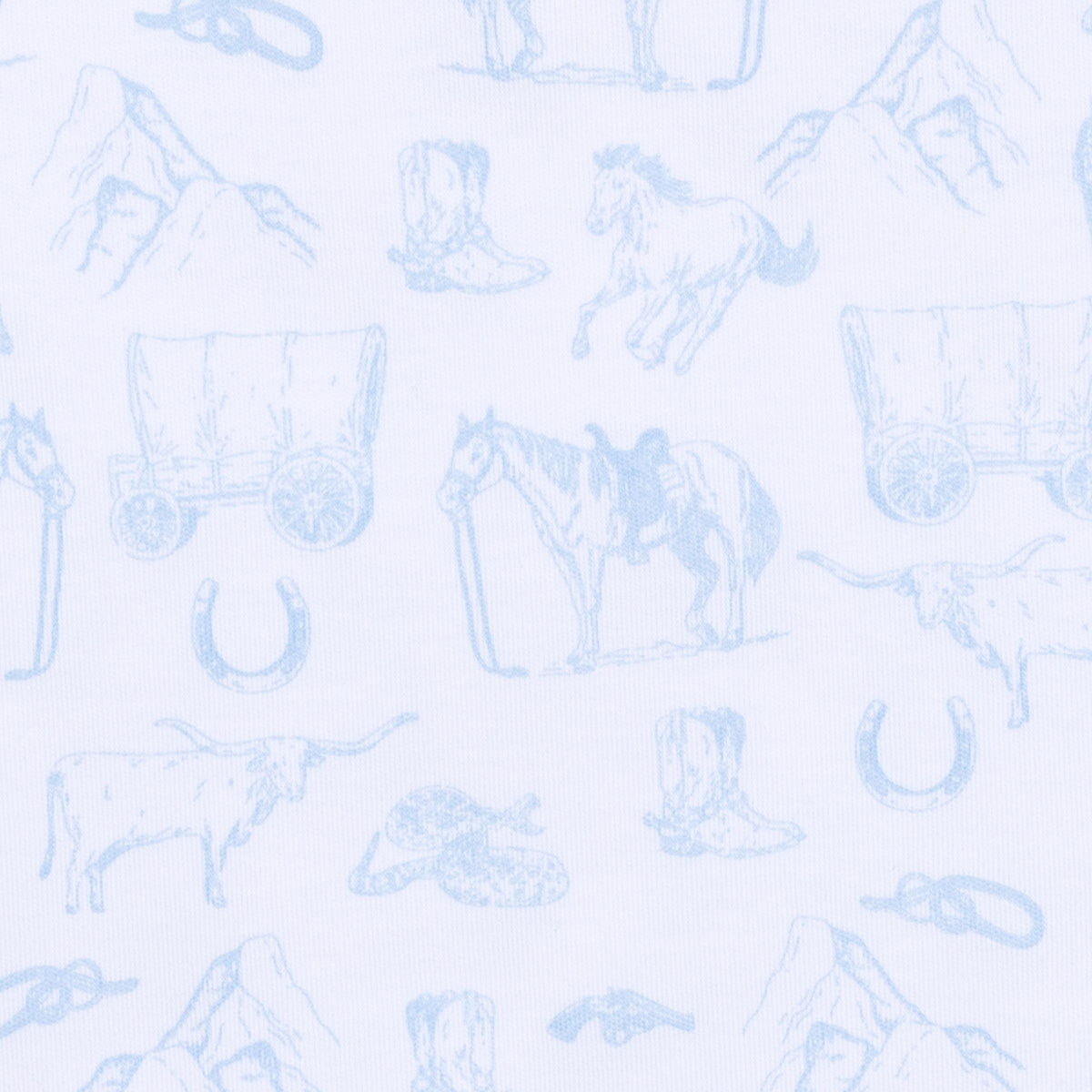 Wild West Toile Light Blue Converter