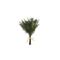 Soft Touch Herb Bundles
