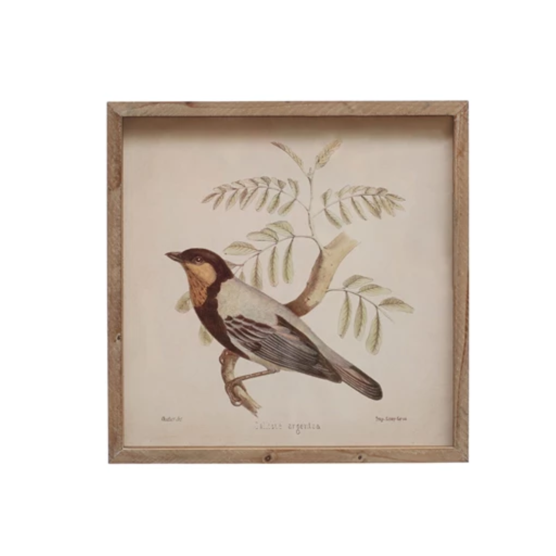 Wood Framed Glass Wall Décor w/ Bird, 2 Styles