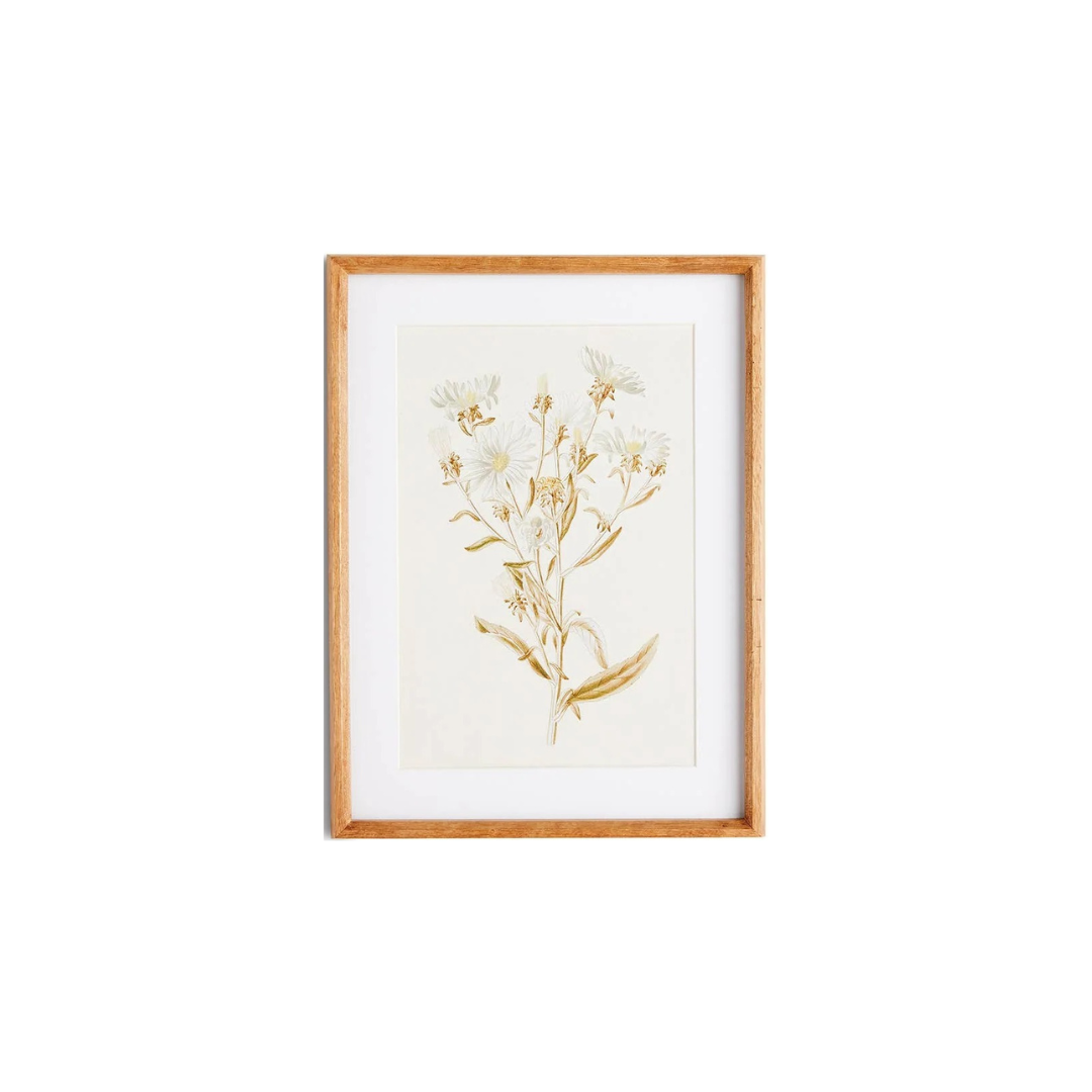 Fleur De Blanc Prints, Set Of 4