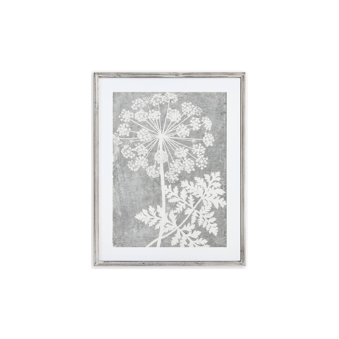 Blooming Queen Anne's Lace Prints