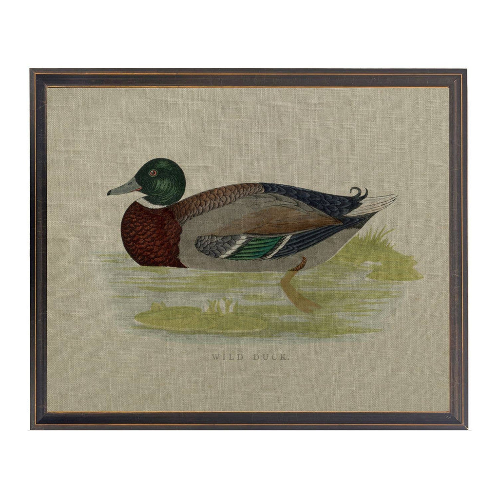 Wild Duck on Linen Framed Print by Antique Curiosities Inc