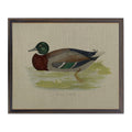 Wild Duck on Linen Framed Print by Antique Curiosities Inc