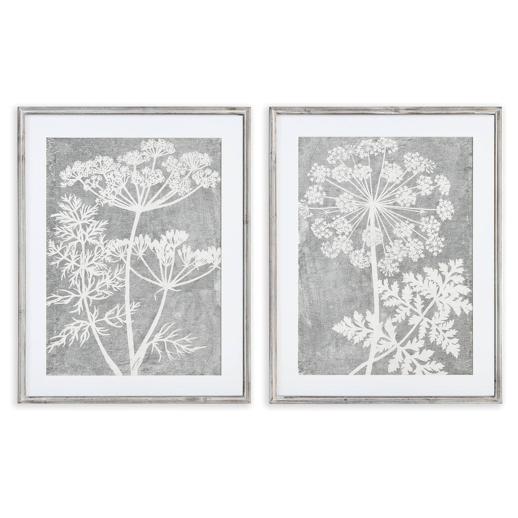Blooming Queen Anne's Lace Prints