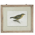 Brown Wood Bird Framed Wall Art with Brown Frame