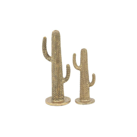 Cactus Decor