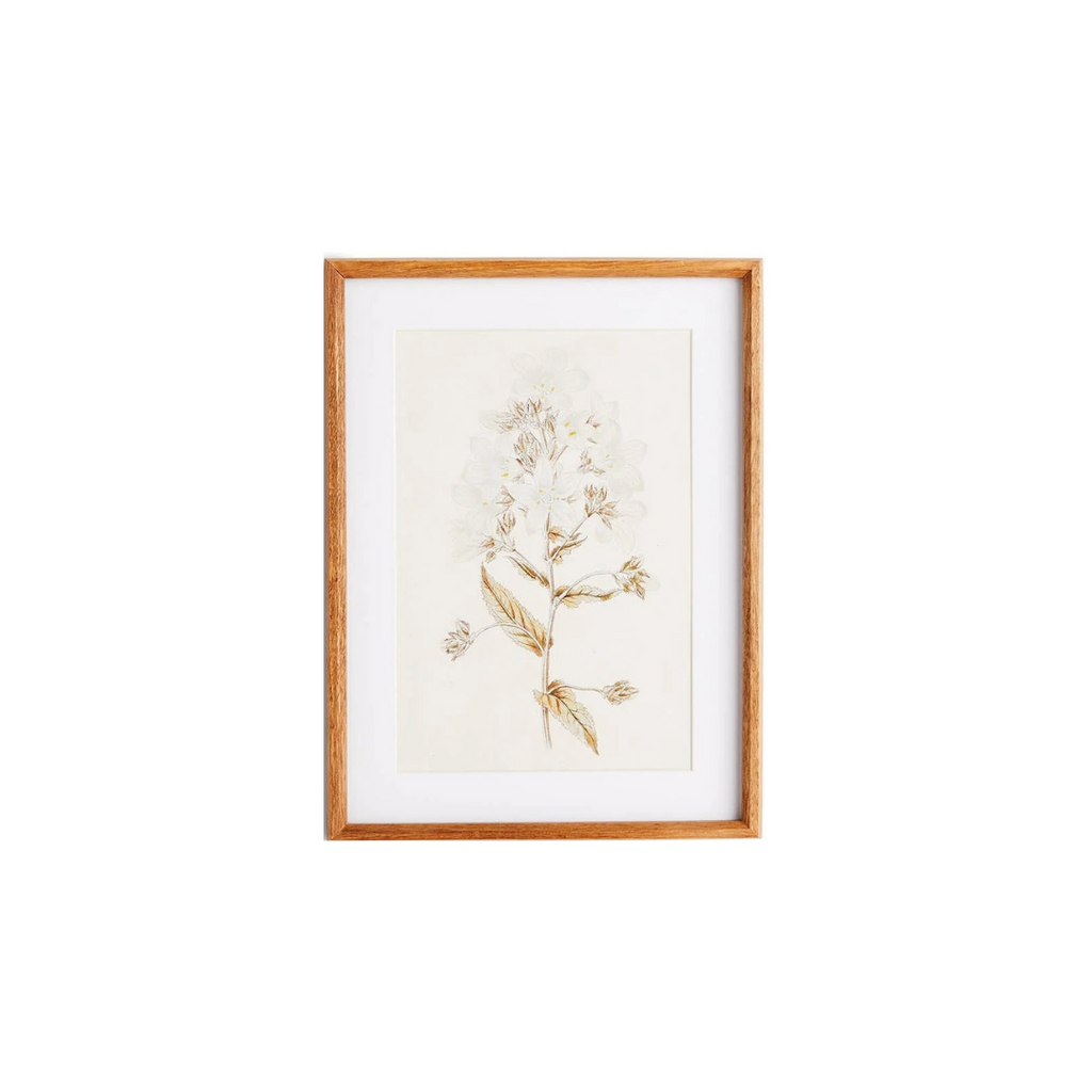 Fleur De Blanc Prints, Set Of 4