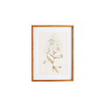 Fleur De Blanc Prints, Set Of 4