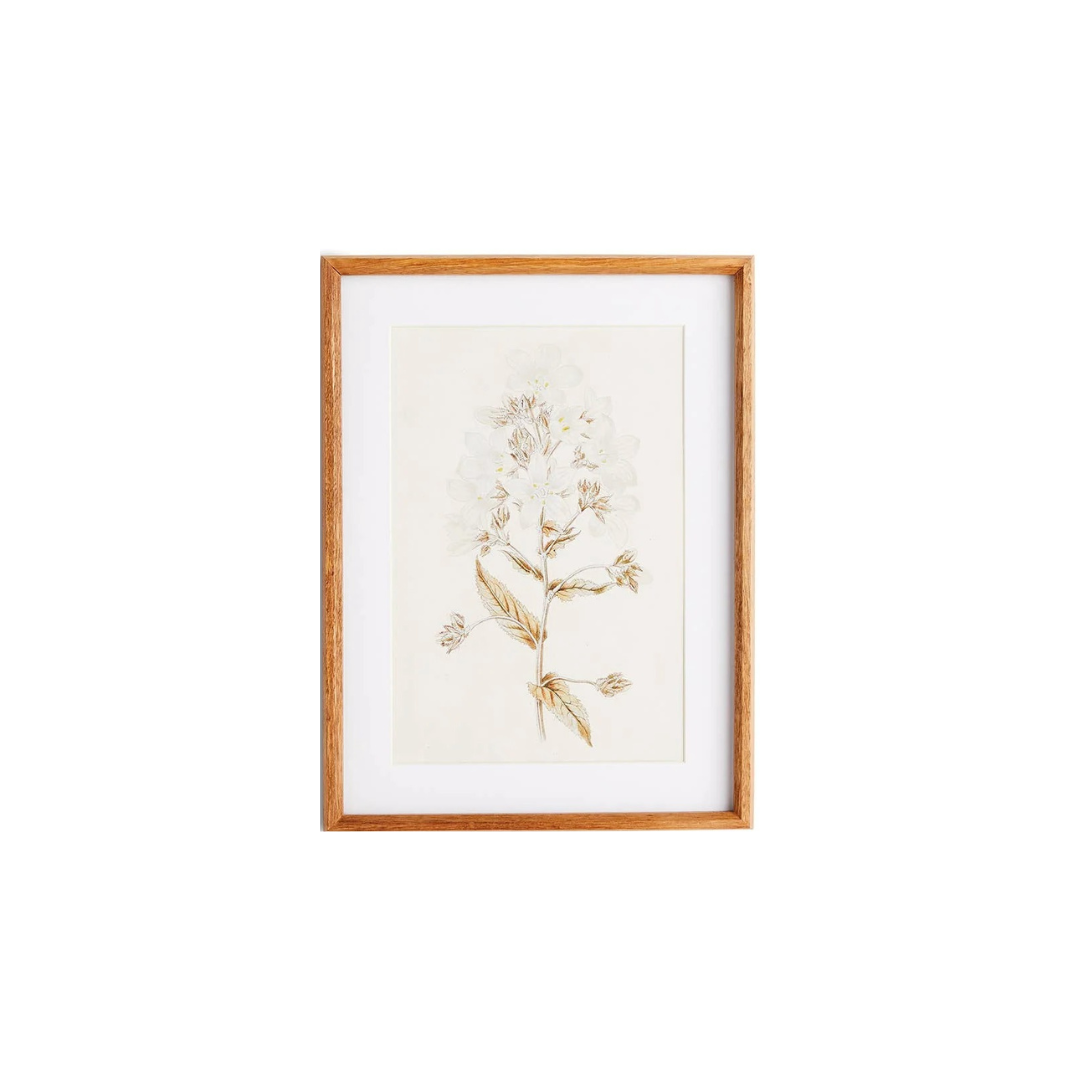 Fleur De Blanc Prints, Set Of 4