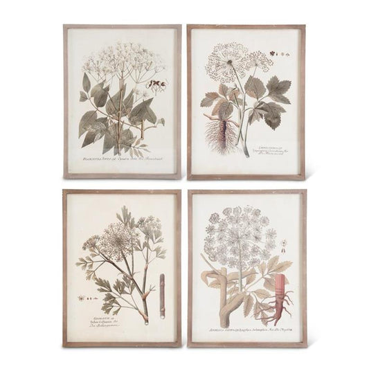 Assorted Wood Framed Botanical Prints | Bridal Shower Hannah Hall & Mikel Carter