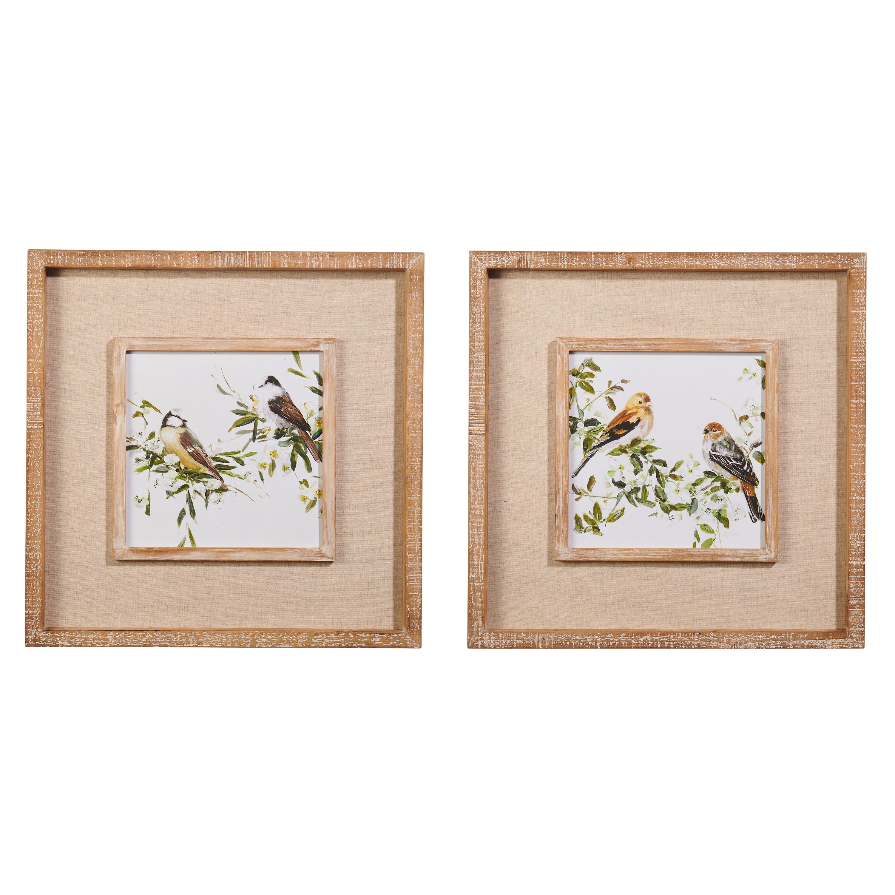 Two framed artworks with bird illustrations on a white background