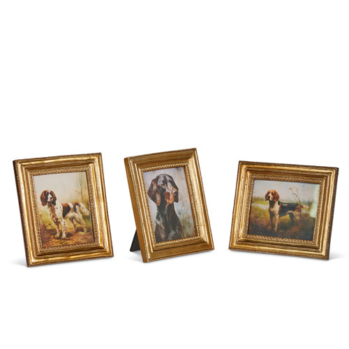 RAZ Imports Vintage Bird Dog Framed Print