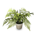 RAZ Imports Potted Fern