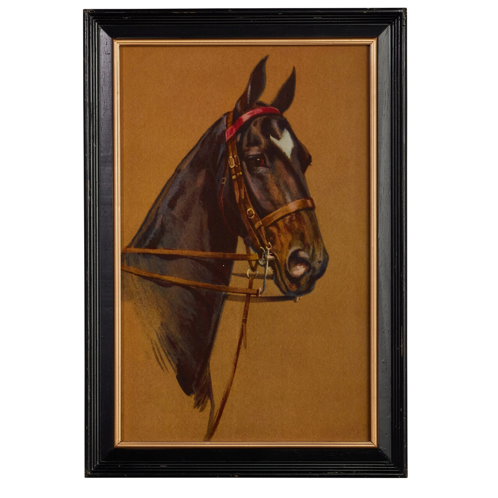 Vintage Equestrian Framed Wall Art