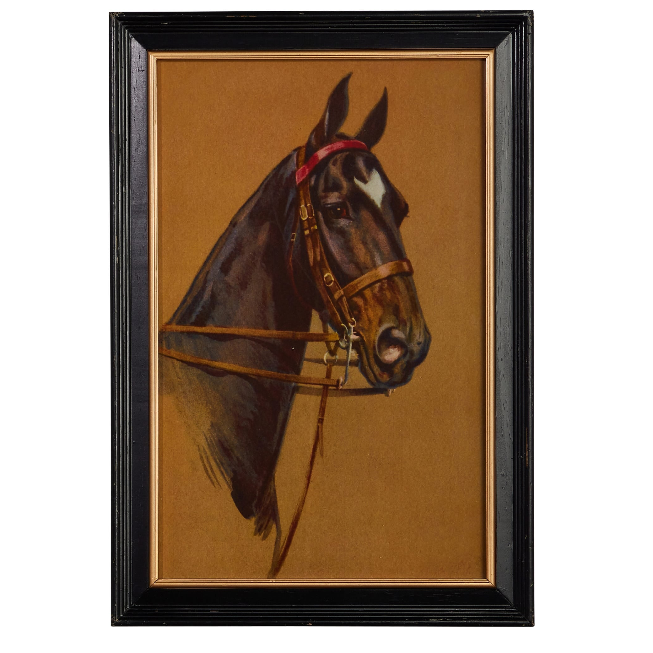 Vintage Equestrian Framed Wall Art