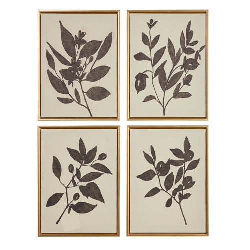 RAZ Imports Olive Branch Framed Print