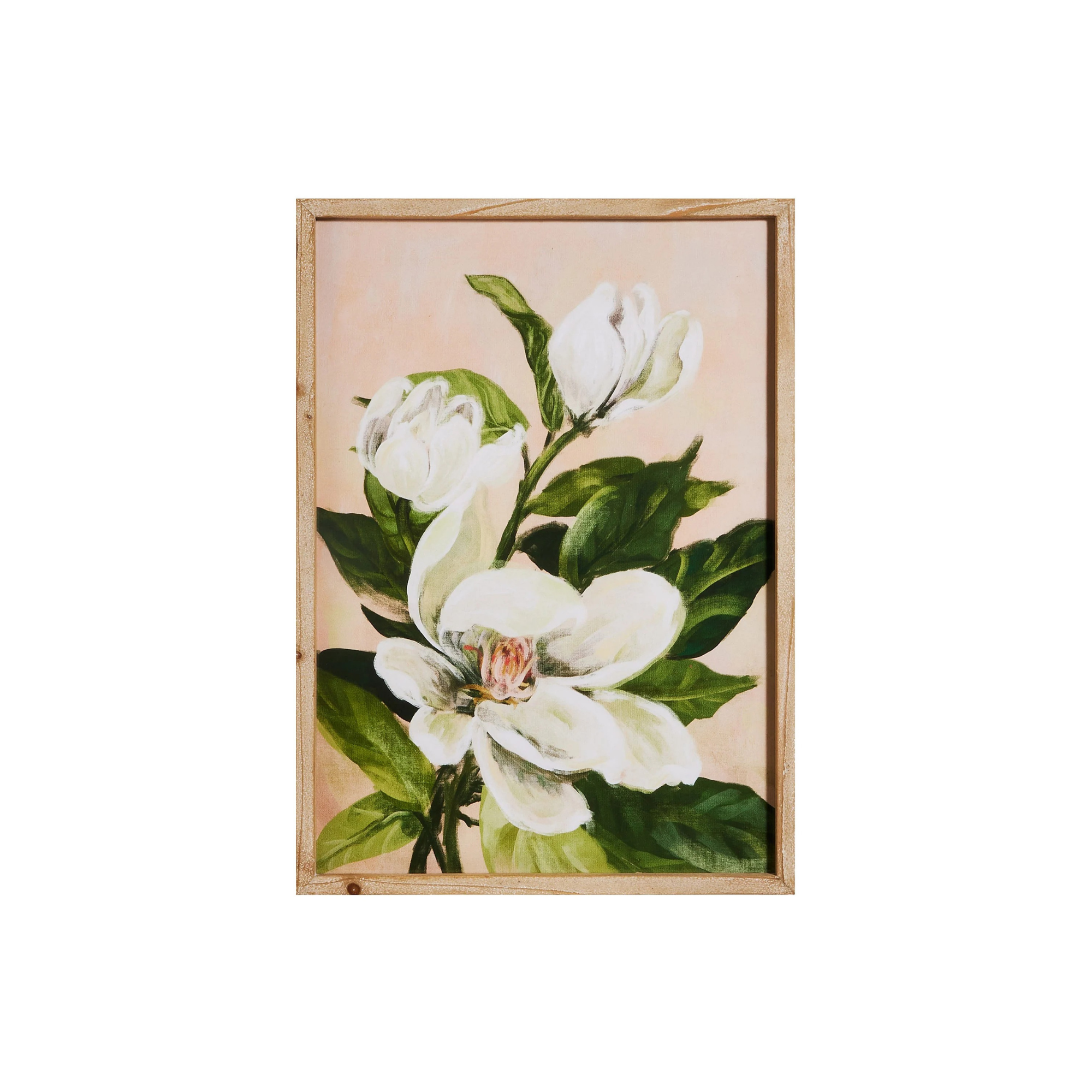 Magnolia Framed Wall Art