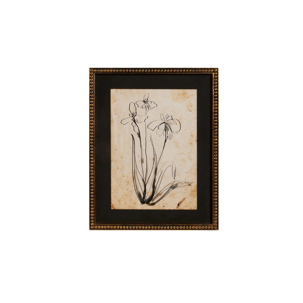 Floral Line Art Framed Print