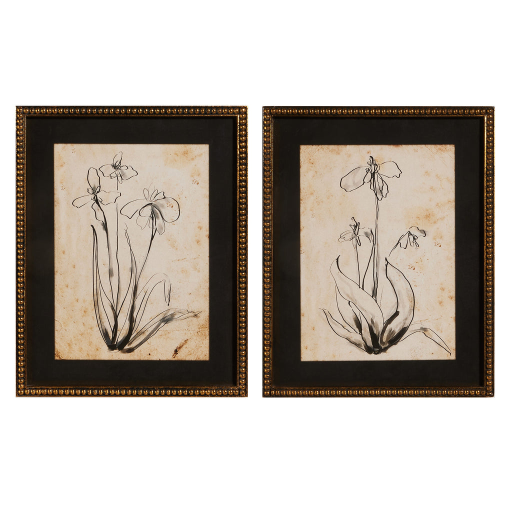Floral Line Art Framed Print