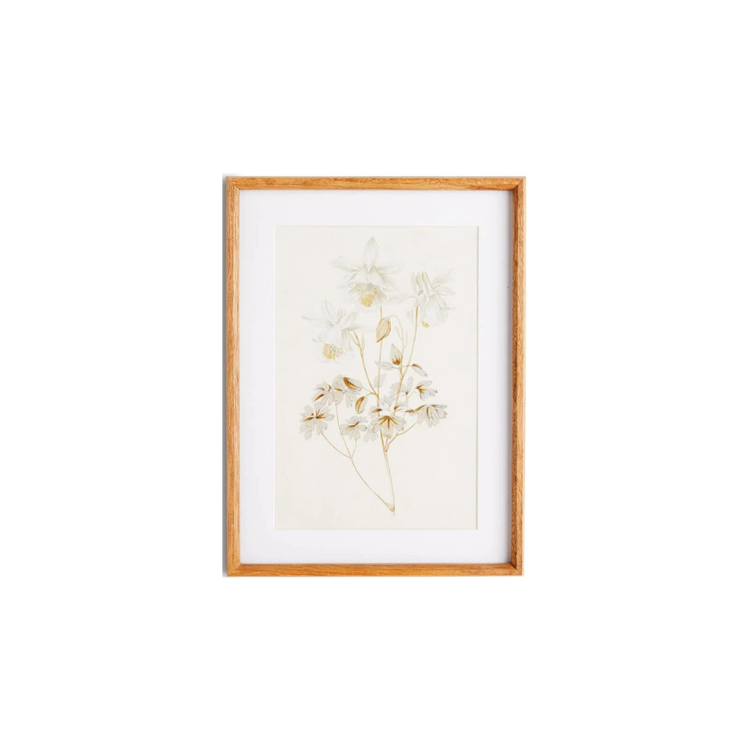 Fleur De Blanc Prints, Set Of 4