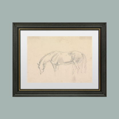 A Horse Grazing Sketch Antique Art Print