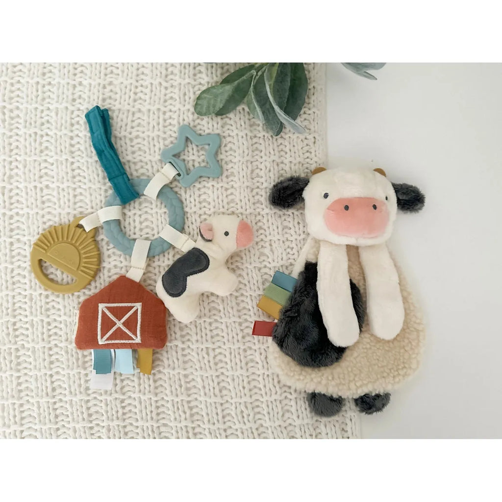 Bitzy Busy Gift Set