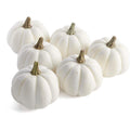 Whitewashed Mini Pumpkins (Bag of 6)