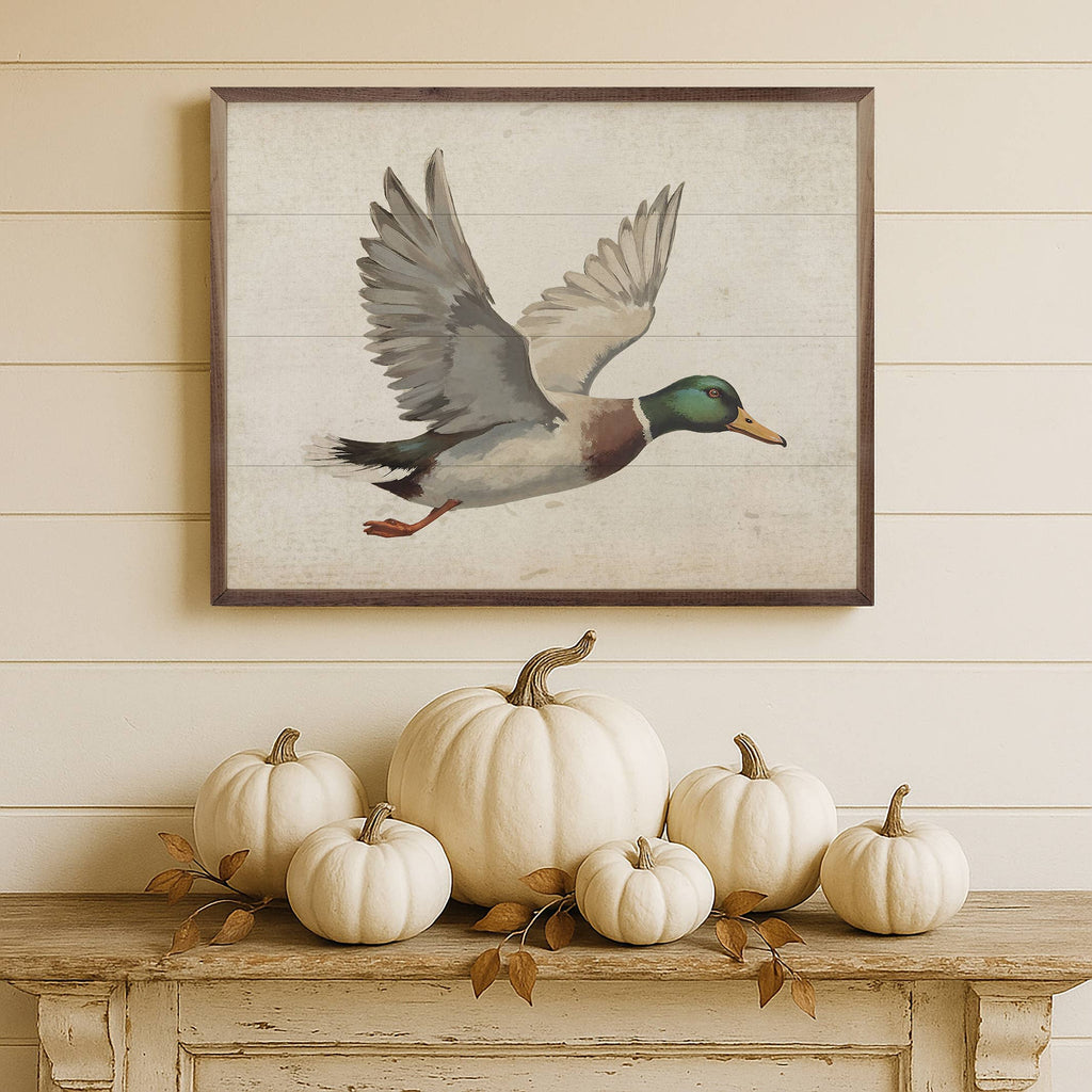 Duck