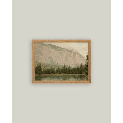 Mountain Pine Framed Antique Art