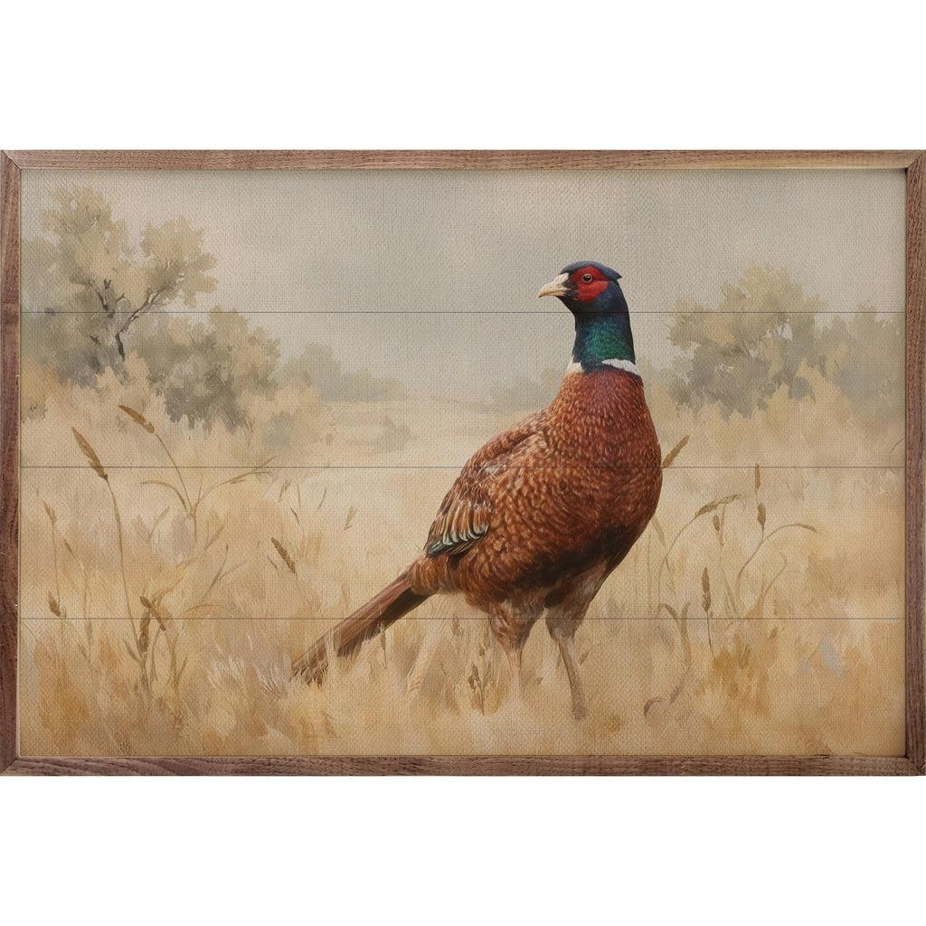 Pheasant in Wheat Field