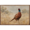 Pheasant in Wheat Field