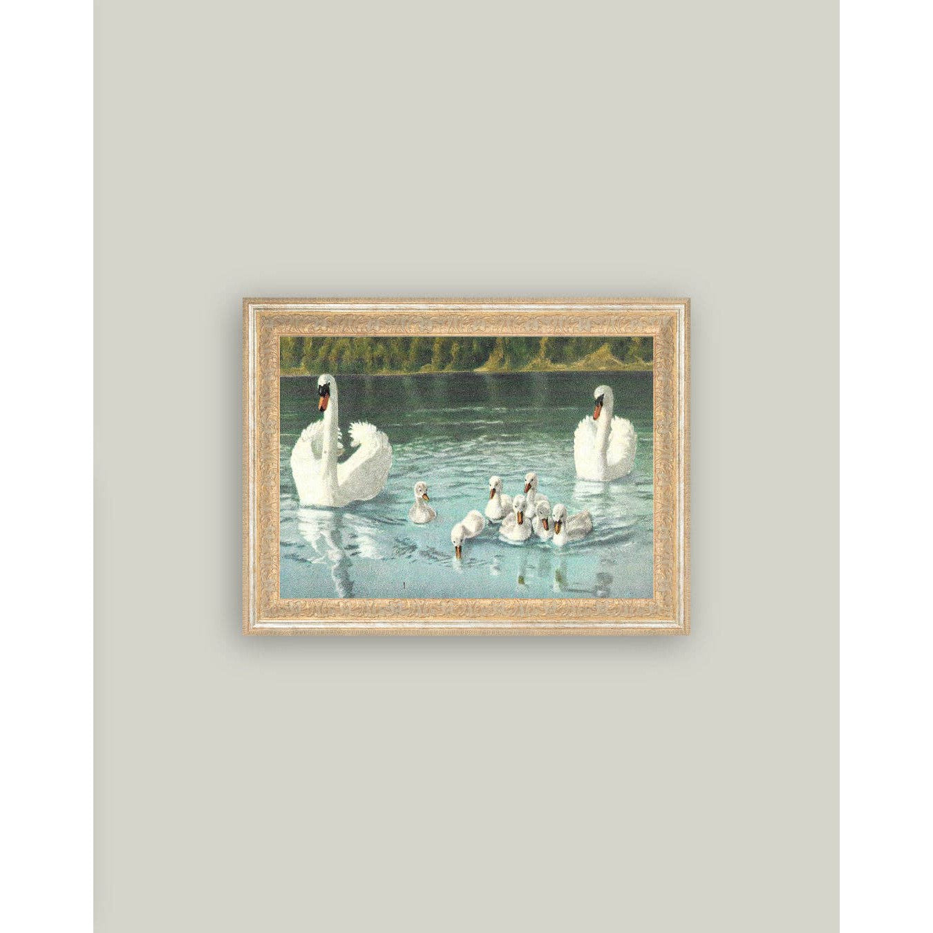 Swan Family Framed Antique Art