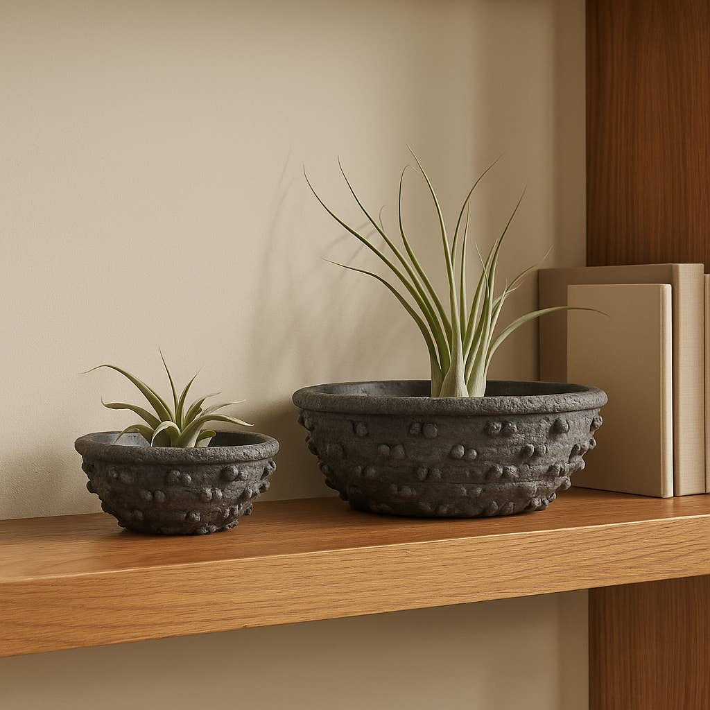 Black Terracotta Knobby Knot Bowls, 2 sizes