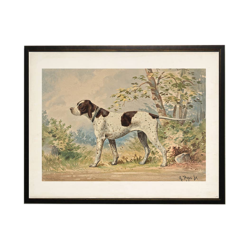 Antique Curiosities Inc Caucasian Pheasant Vintage Framed Print